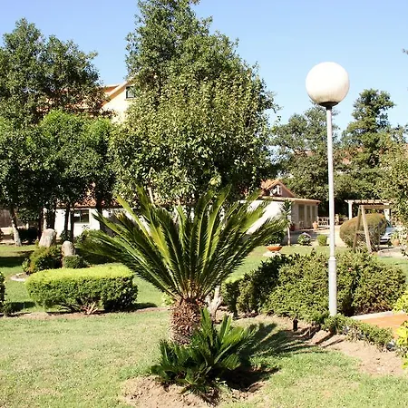 Cabo Festinanza Hotel