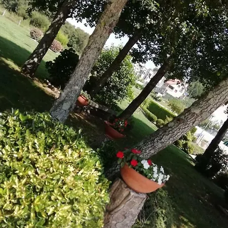 Cabo Festinanza Hotel 2*