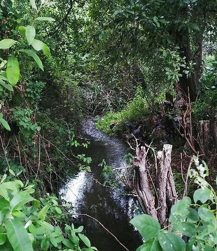 Cabo Festinanza Sanxenxo