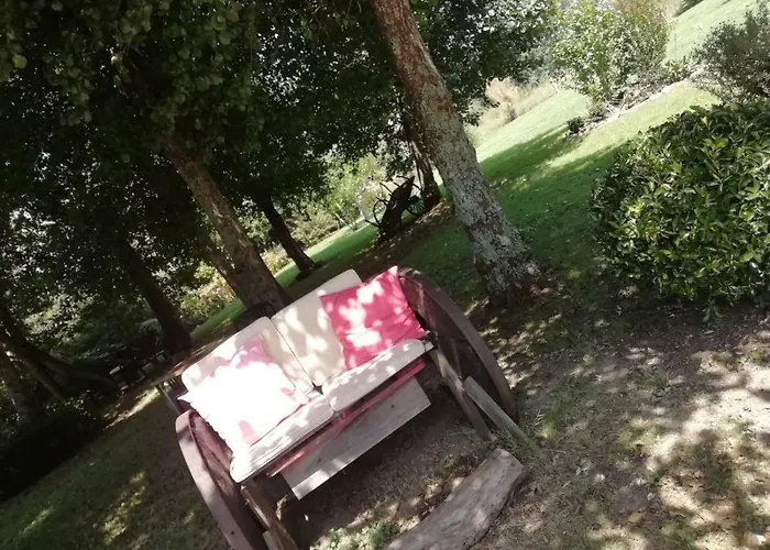 Отель Cabo Festinanza